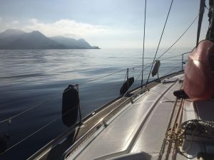 36864582_2039920406027598_4150825582206124032_n